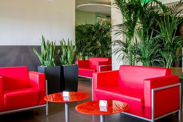 Bed & Breakfast San Paolo